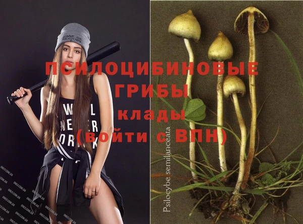 каннабис Алексин