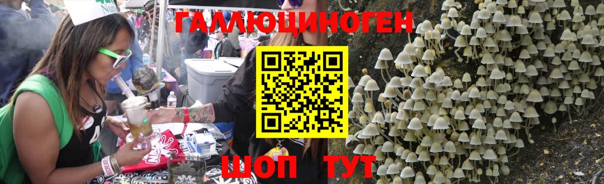 Псилоцибиновые грибы прущие грибы Анжеро-Судженск