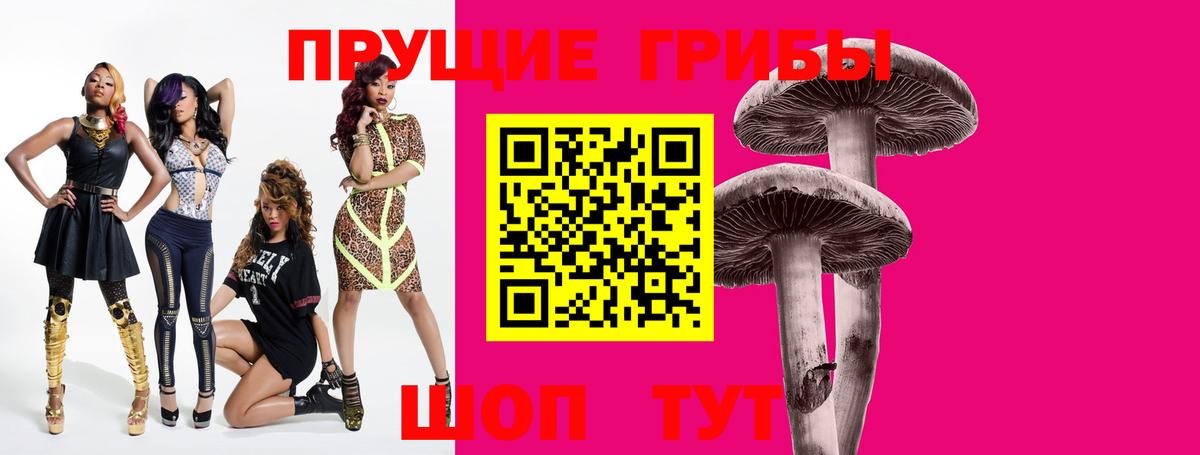 Псилоцибиновые грибы Cubensis  Псилоцибиновые грибы мицелий  Анжеро-Судженск  Вход с VPN 